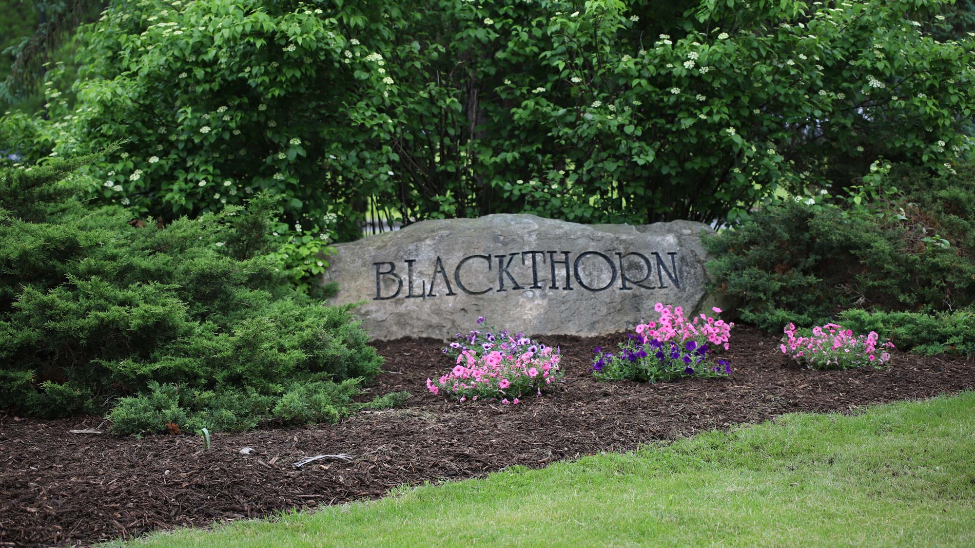 Blackthorn Golf Club 1